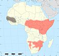 Africa land cover location mamba map with borders