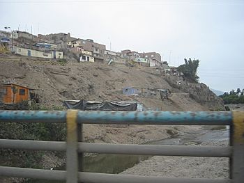An area in Lima (districts of Pachacamac and Villa El Salvador) (4206371000).jpg
