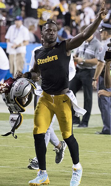 Antonio Brown vs Redskins 2016