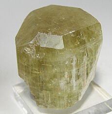 Apatite-(CaF)-219244