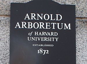 ArnoldArboretum