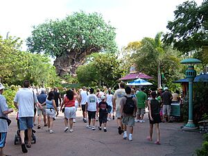 At Disney's Animal Kingdom 1