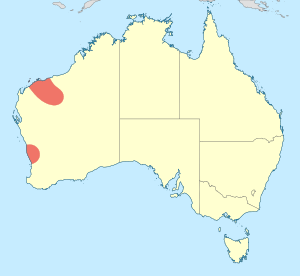 Austroagrion pindrina distribution map.svg