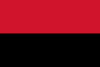 Flag of La Grita