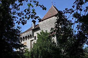 Bailiffs Castle Surpierre Aug 2011