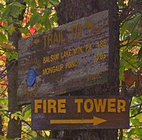 Balsam Lake Mountain trail junction signs