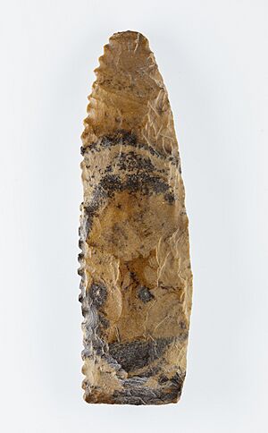 Bifacial Sickle Insert, 4500-4000 BCE, Egypt, Western Delta, Merimda Beni Salama