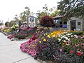 Blowing Rock Town Hall 2