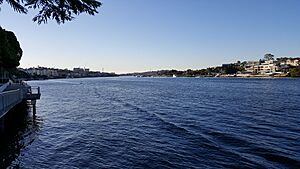 Brisbane River from Riverwalk at Teneriffe