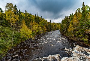Brule River Fall Colors - Judge CR Magney State Park, Minnesota (37177116850)