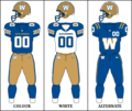 CFL WPG Jersey
