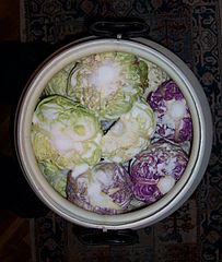 Cabbage final layer