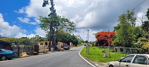 Carretera PR-749, Barranquitas, Puerto Rico