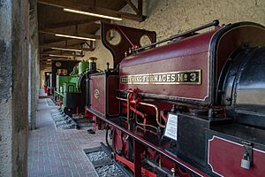 Castell Penrhyn (48395145261)