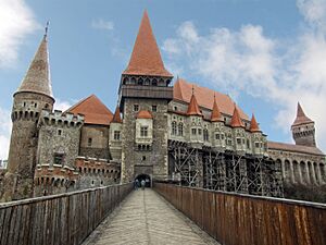 Castelul Huniazilor - panoramio (7)