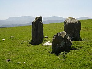 Cerrig Arthur stone circle - geograph.org.uk - 187904