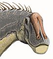 Dicreosaurus headDB
