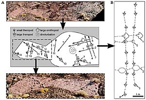 Dinosaur tracksite - Chacarilla Formation, Chile