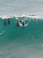 Dolphinsurfresize