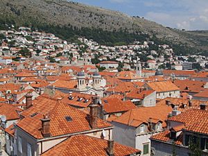 Dubrovnik - roofs