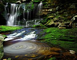 Elakala Waterfalls Swirling Pool Mossy Rocks