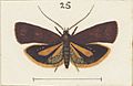 Fig 25 MA I437894 TePapa Plate-XXXIII-The-butterflies full (cropped)