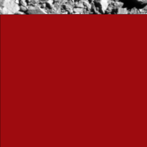 Final dart 0401930050 41838 01 iof imagedisplay-final.png
