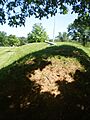 Fort Lincoln Cemetery, Brentwood, Maryland 007