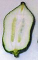 Halved seedless Moroccan citron