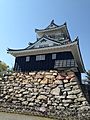 Hamamatsu castle 1