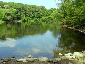 Hill's Pond, Monotomy Rocks Park, Arlington,Massachusetts