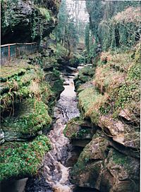 How Stean Gorge - geograph.org.uk - 1448179