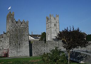 IMG FethardWalls3475c