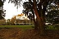 Image; Canemount Plantation house