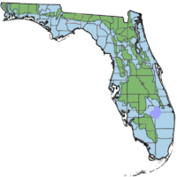 Interglacial Florida