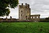 Kilcash Castle2.jpg