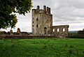 Kilcash Castle2