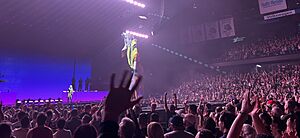 Kylie Minogue "Tension Tour" at Allstate Arena IMG 2335 (2)