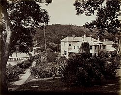 Mansion House, photograph by D L Mundy