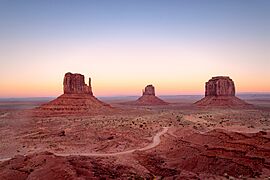 Mittens and Merrick after Sunset