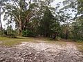 Mount Elliot - panoramio
