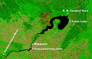 NASA satellite image of Tobin Lake