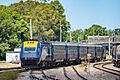 NSW Trainl.ink XPT, Maitland (20240212) (53529989592)