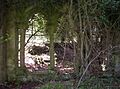 Newminster Abbey 3 - geograph.org.uk - 222839