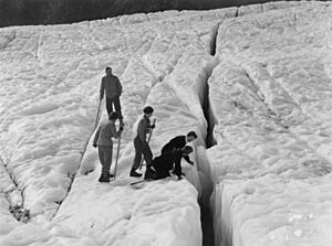 Party inspecting a crevasse on the Fox Glacier (3307743585)