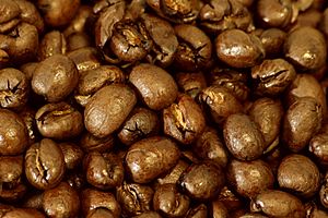 Peaberry coffee beans, close up