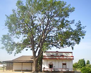 Pio Pico Casa, Whittier