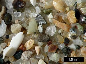 PismoBeachSand