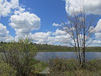 Poutwater Pond, Holden MA.jpg