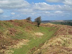 Ramparts of Castle an Dinas